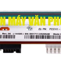 Đầu in mã vạch Zebra ZT210/230 300DPI/P1037974-011